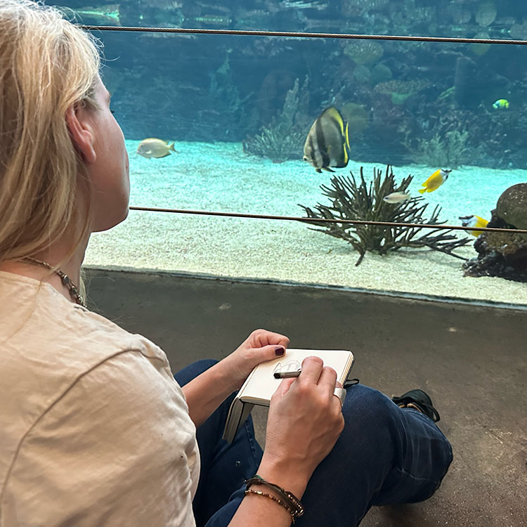 cursus-tekenen-burgers-zoo Cursus dieren tekenen in Burgers Zoo